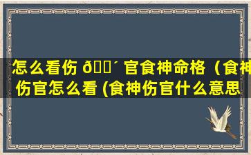 怎么看伤 🐴 官食神命格（食神伤官怎么看 (食神伤官什么意思)）